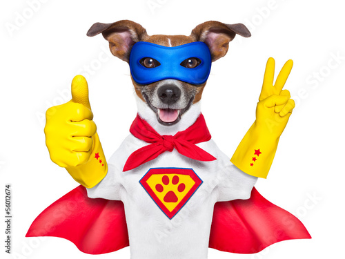super hero dog © Javier brosch