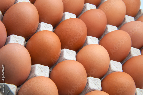 huevos de gallina photo