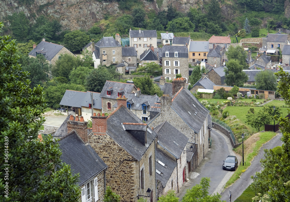 Fototapeta premium Fougeres