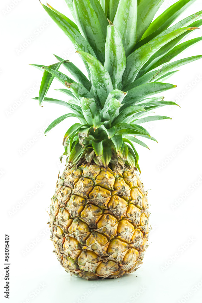 Fototapeta premium Pineapple on white background