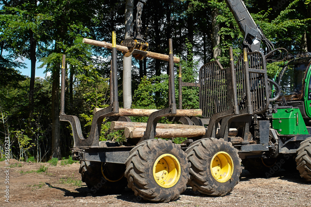 Heavy harvester loader doing forestry work Heavy harvester loader doing forestry work