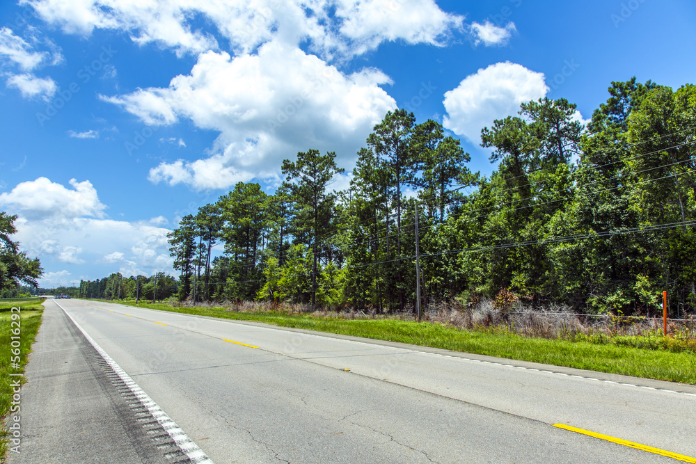 empty highway in america with trees and blue sky empty highway in america with trees and blue sky