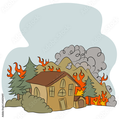 Forest Fire