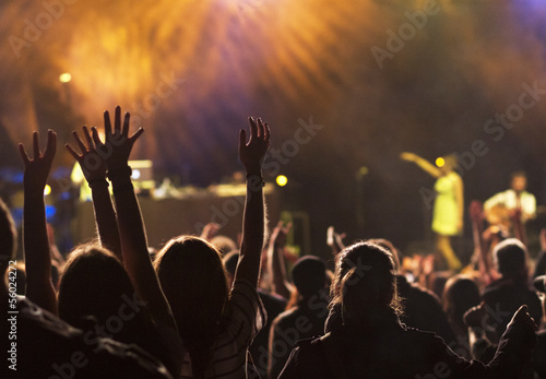 Crowd at concert