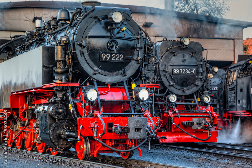 Naklejka premium Harzer Schmalspurbahnen