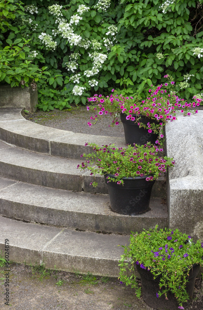 Flower pots decorating stone steps in a garden