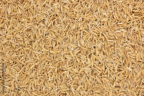 Fotografi Detail of rice husks texture