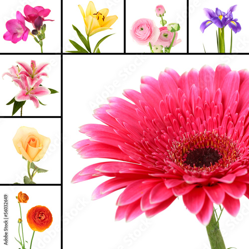 Fototapeta Naklejka Na Ścianę i Meble -  Collage of beautiful flowers isolated on white
