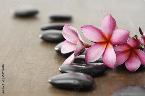 zen stones with frangipani on wooden board