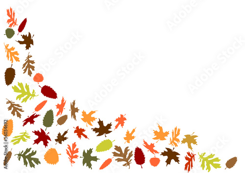 bunte Herbstblätter