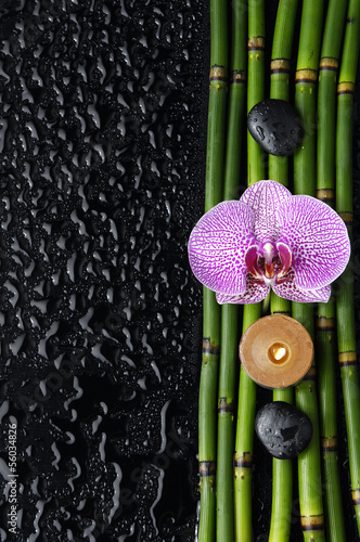pink orchid and bamboo grove  zen stone  candle