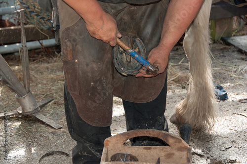 Fotografija Horse being shod