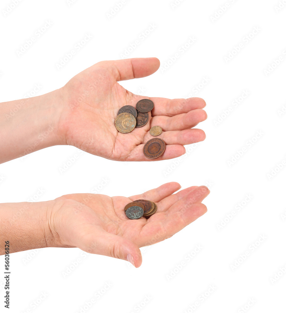 Hands holds coins. Hands holds coins.