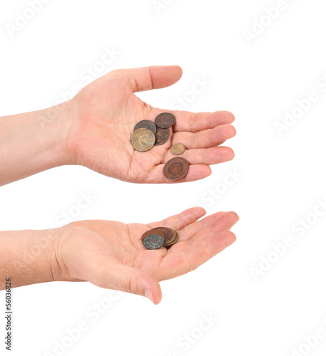 Hands holds coins.