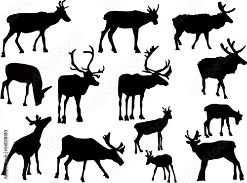 thirteen isolated black deers