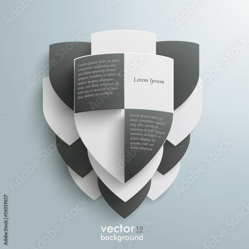 Protection Shield Infographic Black Ans White Shields
