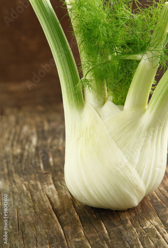 Fresh fennel on wooden background