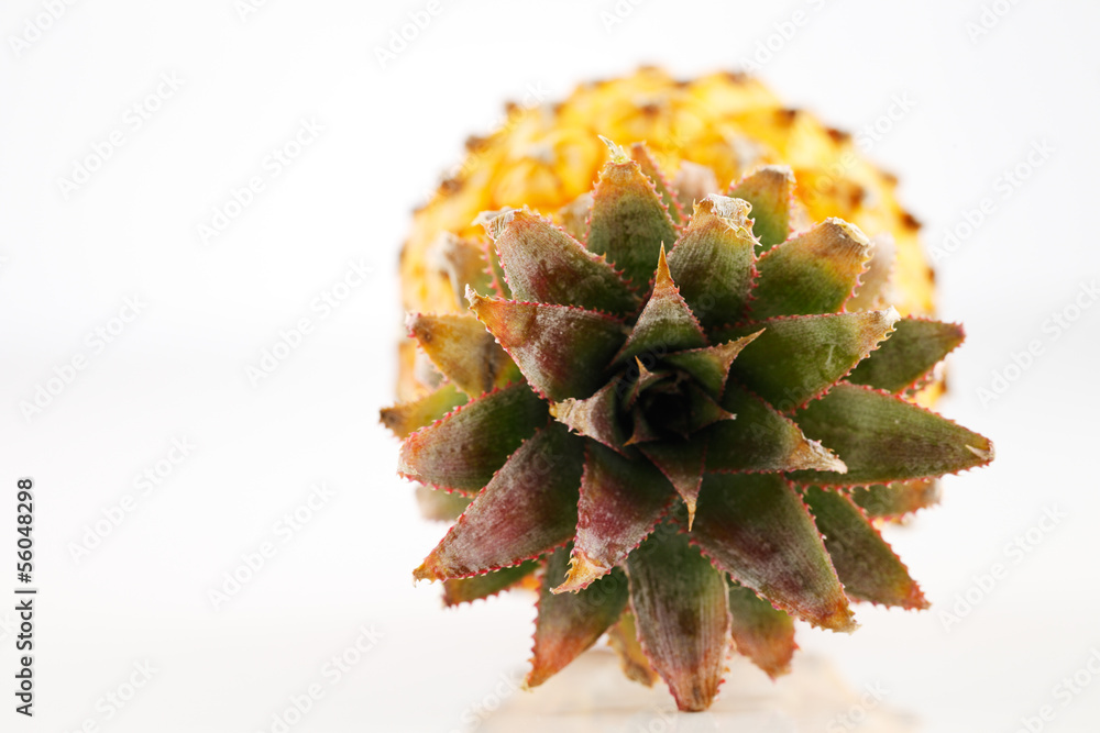 Fresh organic pineapple on a white background Fresh organic pineapple on a white background