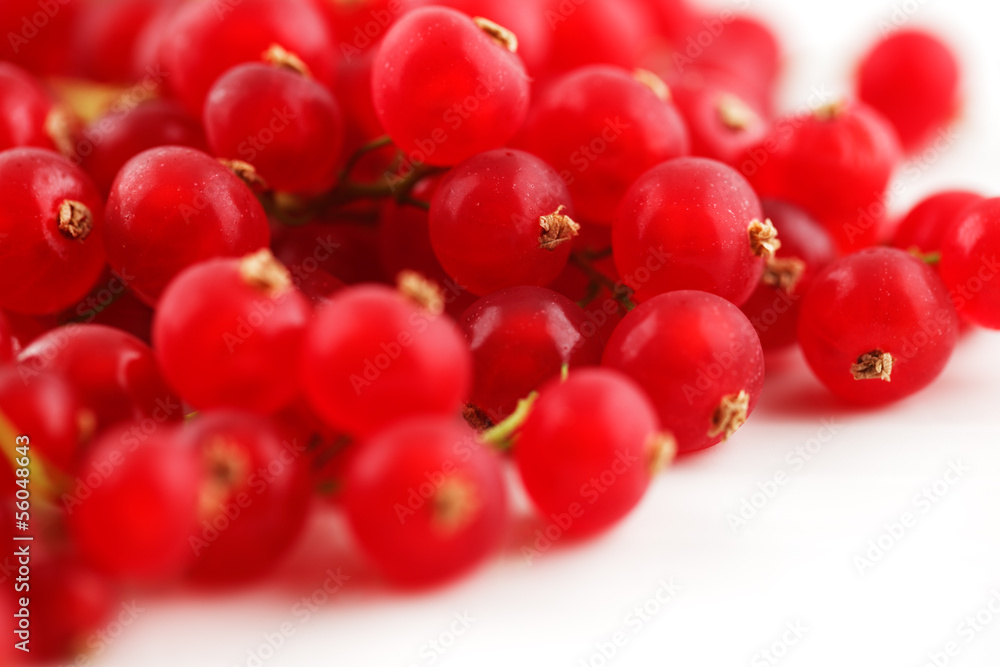 Fresh organic red currants on a white ceramic surface Fresh organic red currants on a white ceramic surface