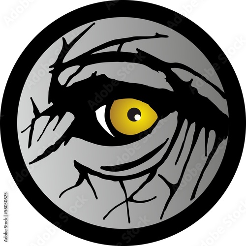 Elephant Eye