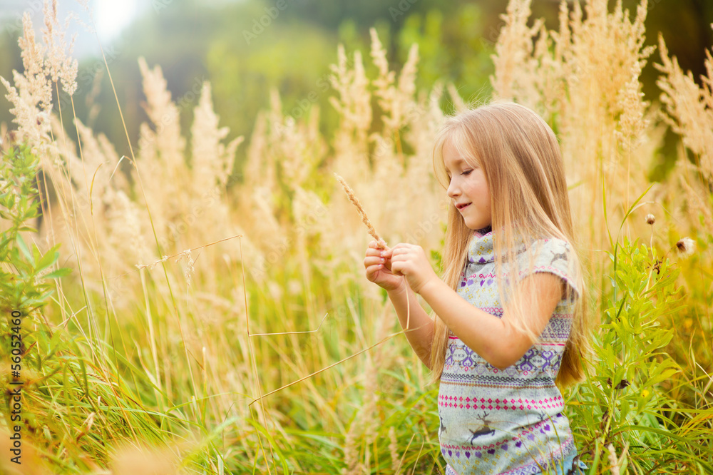 Beautiful european girl with long blond hair in field Beautiful european girl with long blond hair in field