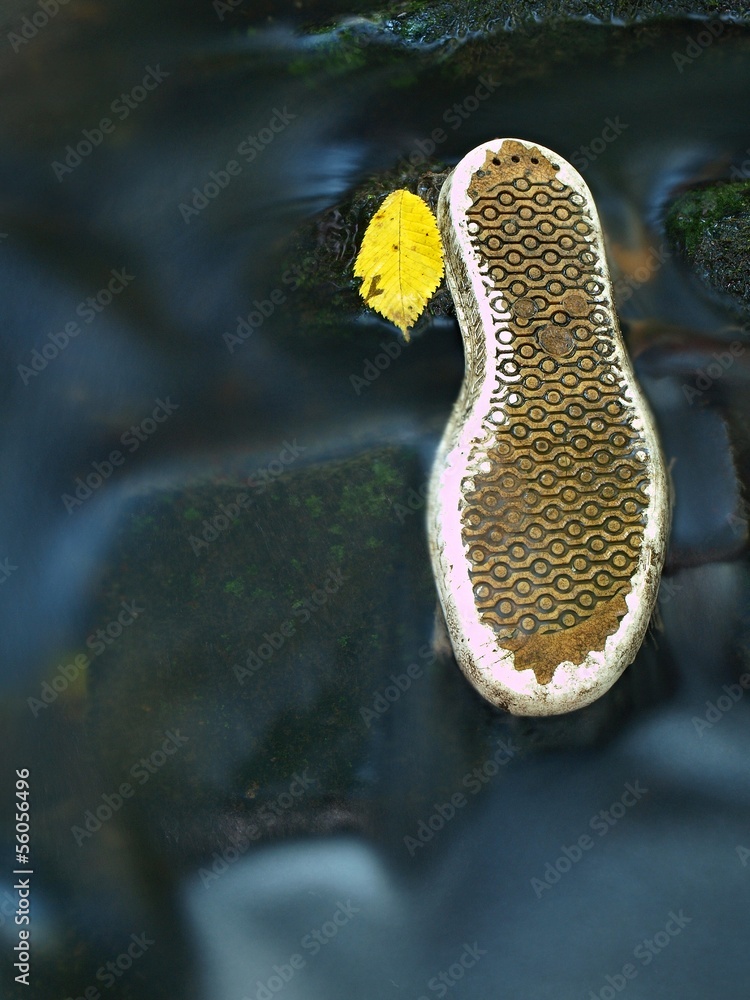 Fototapeta premium Aspen leaf on old shoe sole in blurred clear water of river