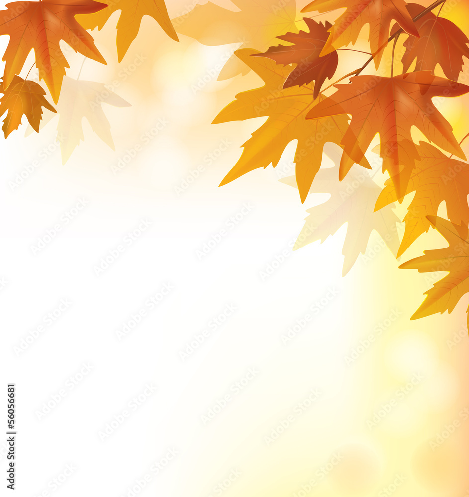 Fototapeta premium Beautiful autumn yellow background