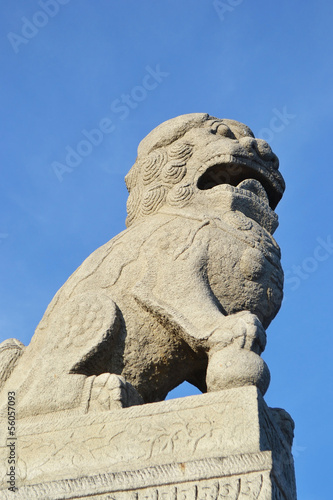 Chinese Sculpture Shih tsza in St.Petersburg. photo