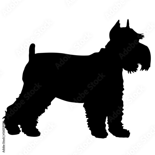 Schnauzer Silhouette