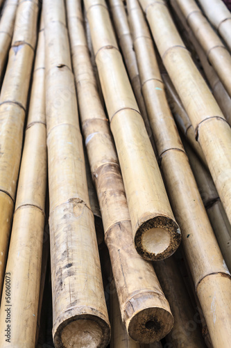 Pile of bamboo wood