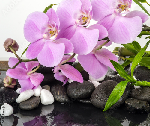 Wellness Concept: orchids, bamboo, stone, water