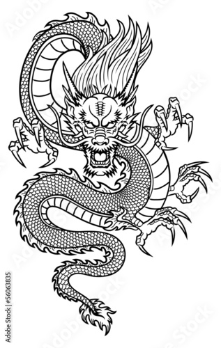 Chinese Dragon photo