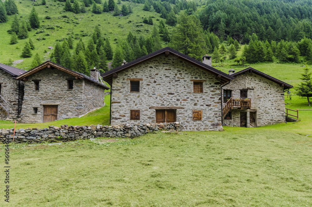 Fototapeta premium Stone houses. Traditional alpine village in the mountains