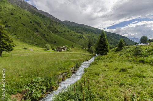 Alpine meadows in the summer in the mountains in northern Italy