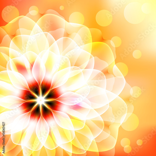 Beautiful floral card