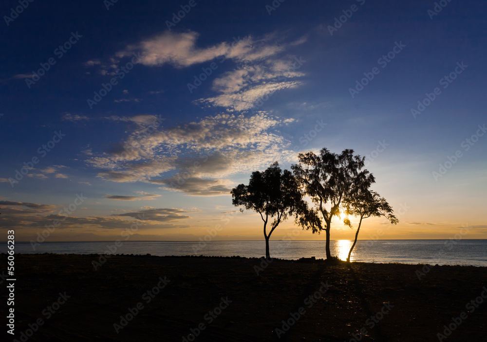 Fototapeta premium Sea landscape.