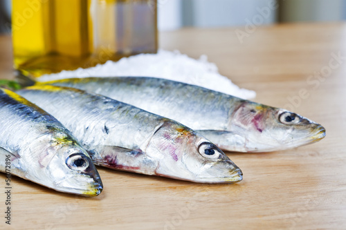 Three horses mackerels
