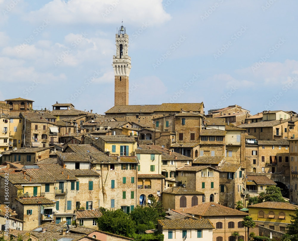 Antique houses and Mangia tower. Siena, Italy