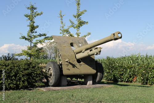 cannone photo