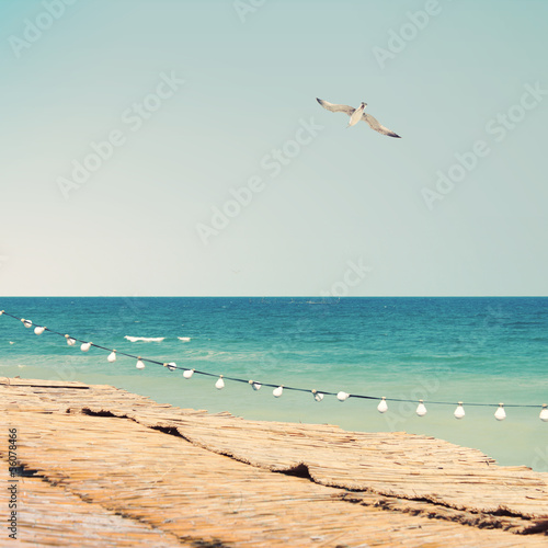Summer sea sight with seagull