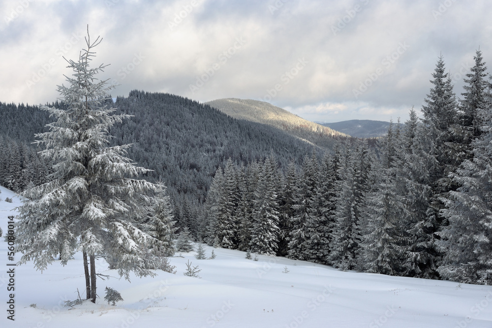 Winter landscape in the Carpathian mountains Winter landscape in the Carpathian mountains