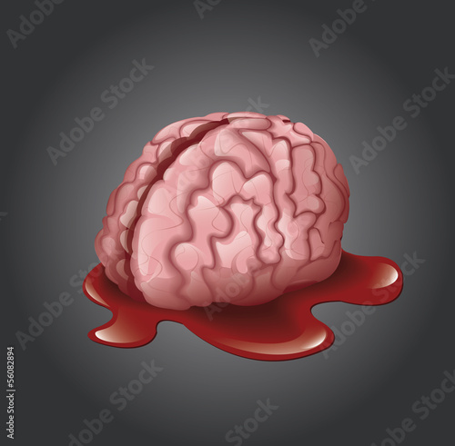 Vector Brain