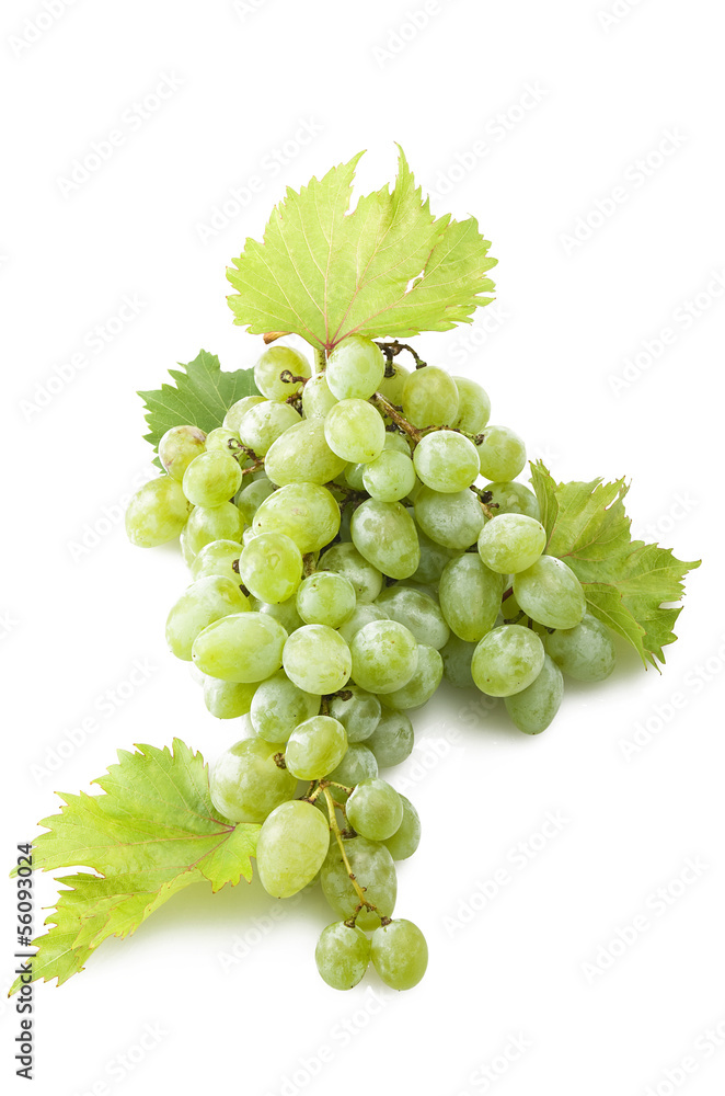 green freshness grape on the white background green freshness grape on the white background