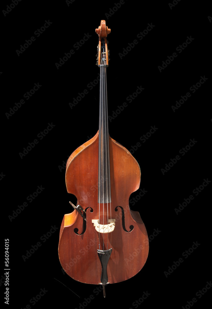 Fototapeta premium cello on a black background