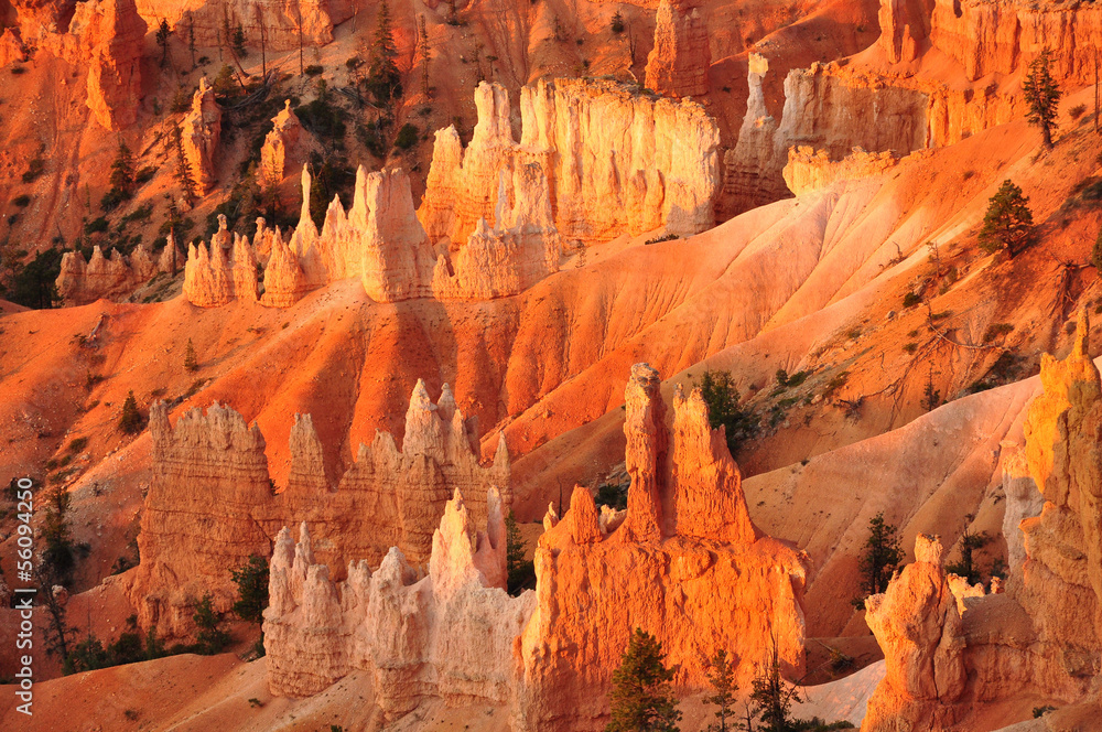 Panorama of Bryce Canyon Utah, USA