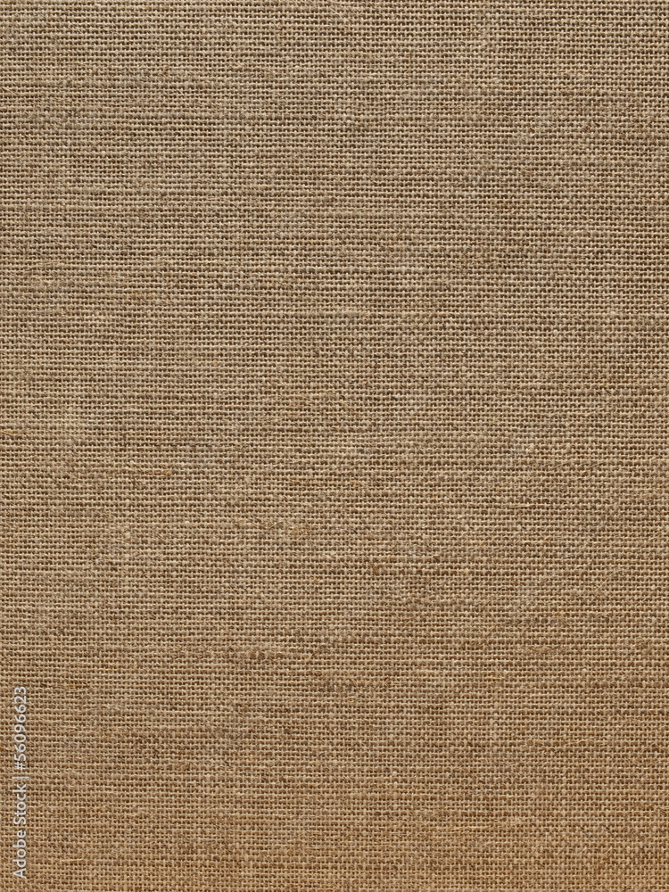 Linen fabric of rough manufacture. Linen fabric of rough manufacture.