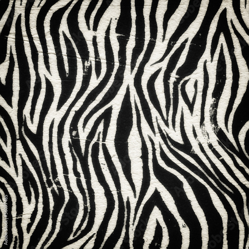 Vintage zebra pattern