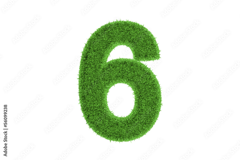 Fototapeta premium Number six with green grass pattern. on white