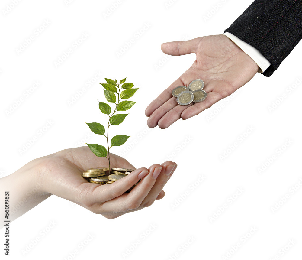 Investing to green business