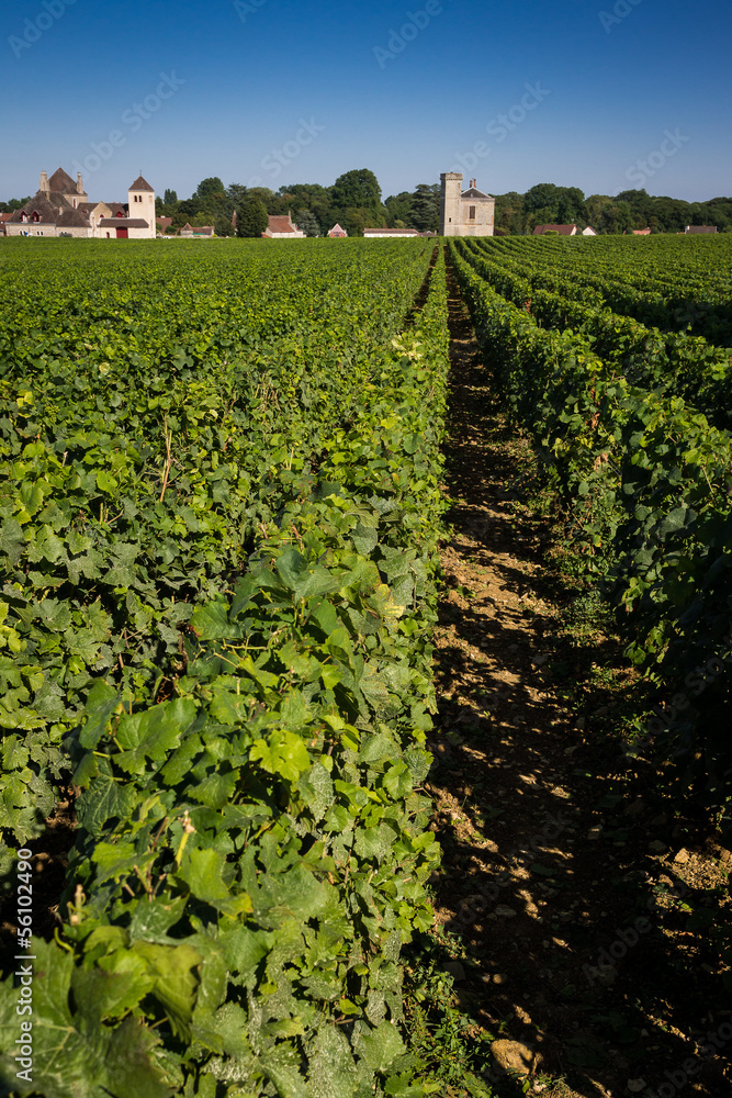 Obraz premium clos bourguignon